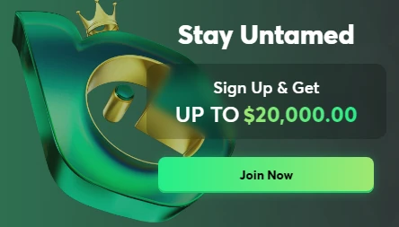 BC Game Online Casino